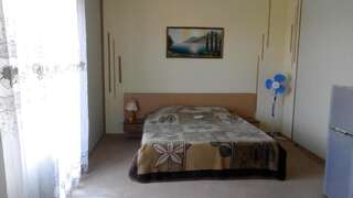 Гостиница Вилла Плаятина Черноморское Стандартный двухместный номер с 1 кроватью-5